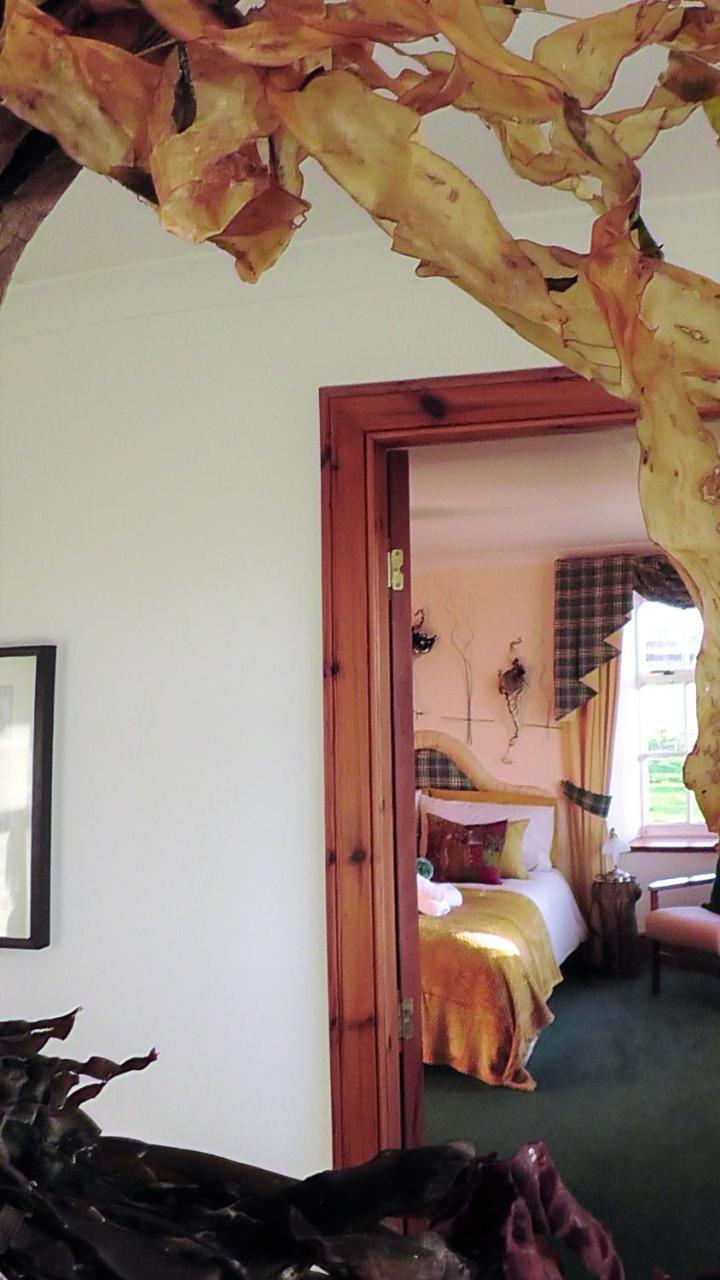 Wagtail Lodge Dinnet Dış mekan fotoğraf